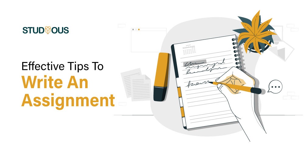 6 Effective Tips to Write an Assignment for Academic Success